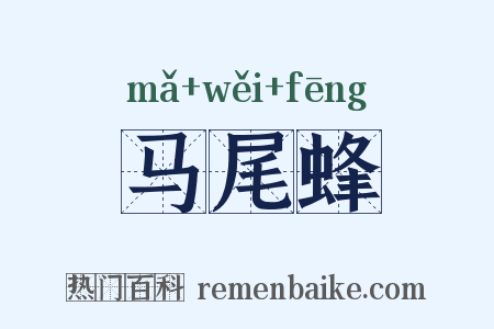 马尾蜂是什么意思的图片